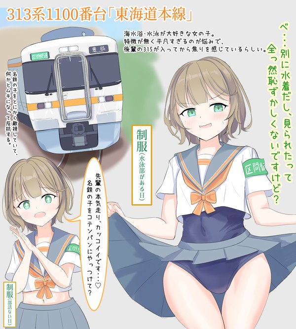 313系0番台&1100番台「東海道線」