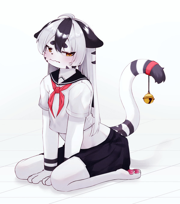 Ddido request