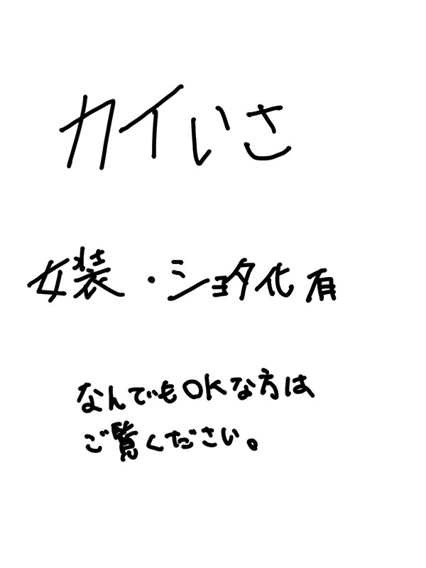 カイ潔まとめ