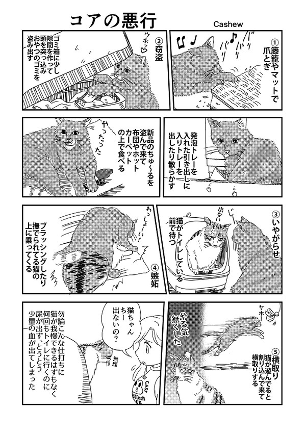 コアの悪行
