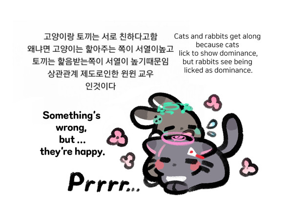 털뭉치적 방디부(아이카즈아이)