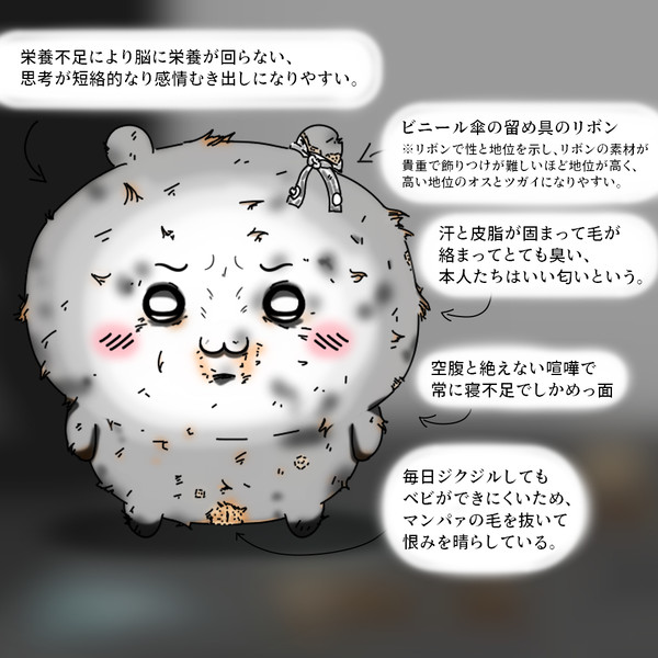 野良ちいとベビの生態 - 1/2
