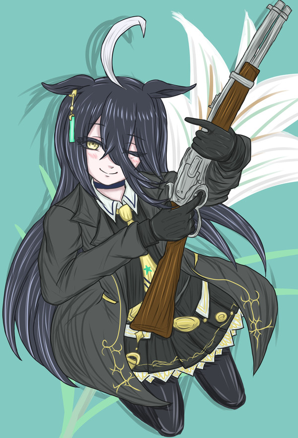 If I Had a Gun...