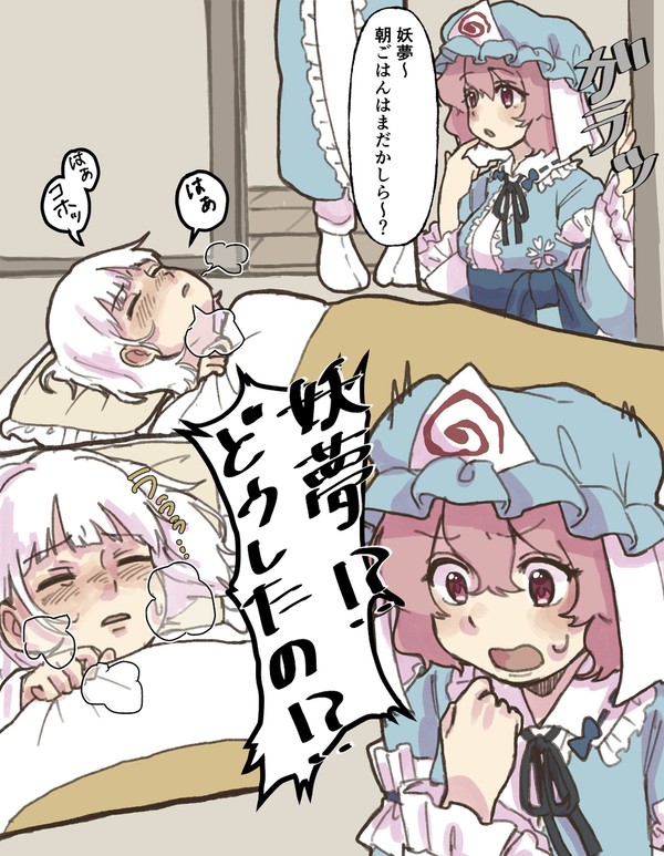 妖夢、風邪を引く