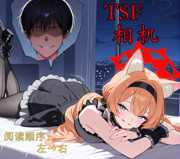 TSF相机