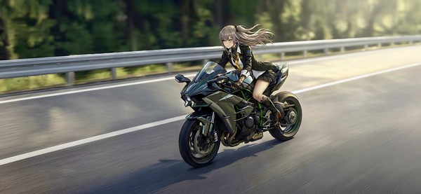 Leva Ride Kawasaki H2