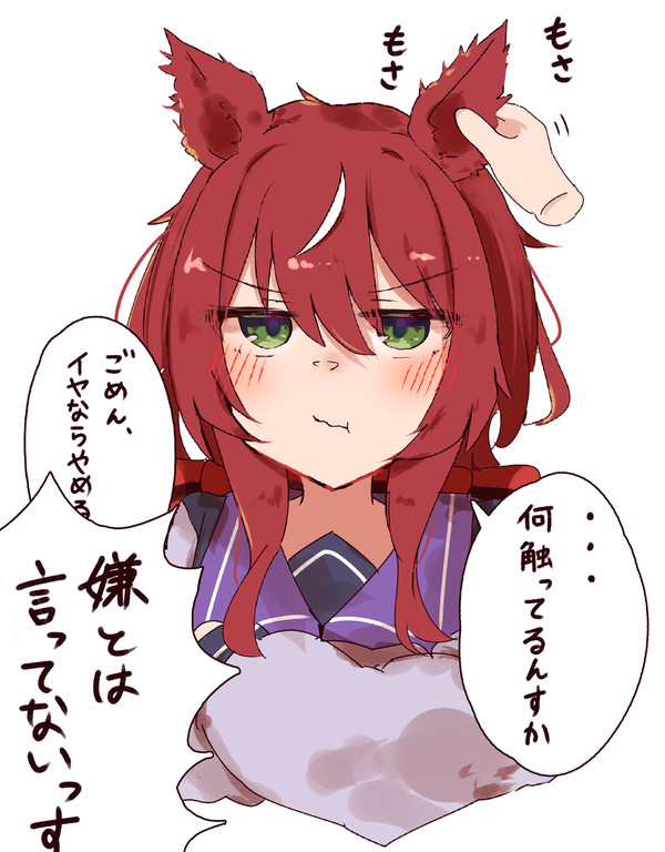 冬毛もふもふ