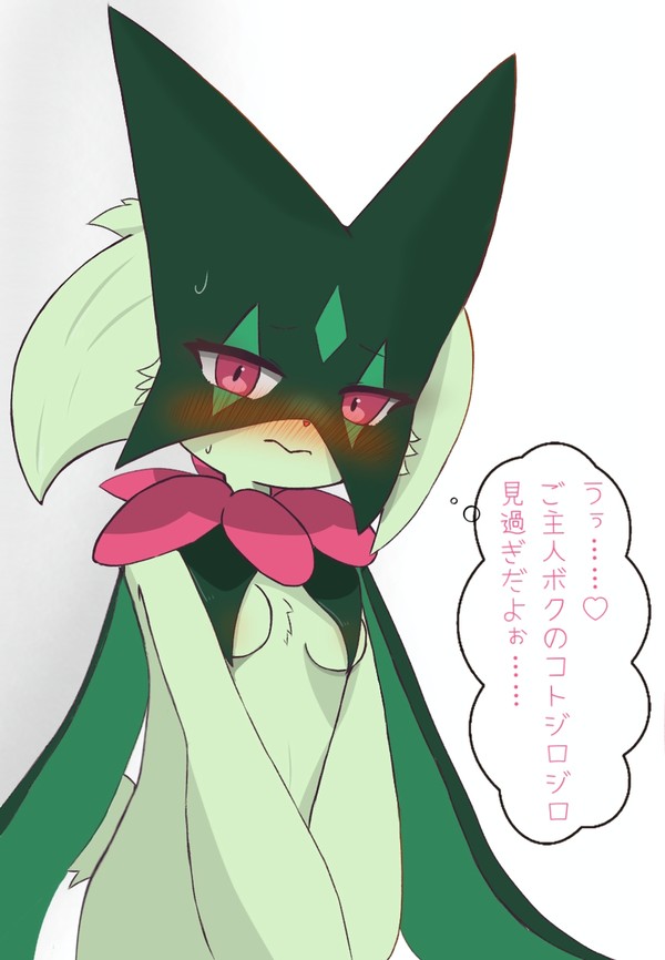 恥ずかしがりやのマスカーニャ
