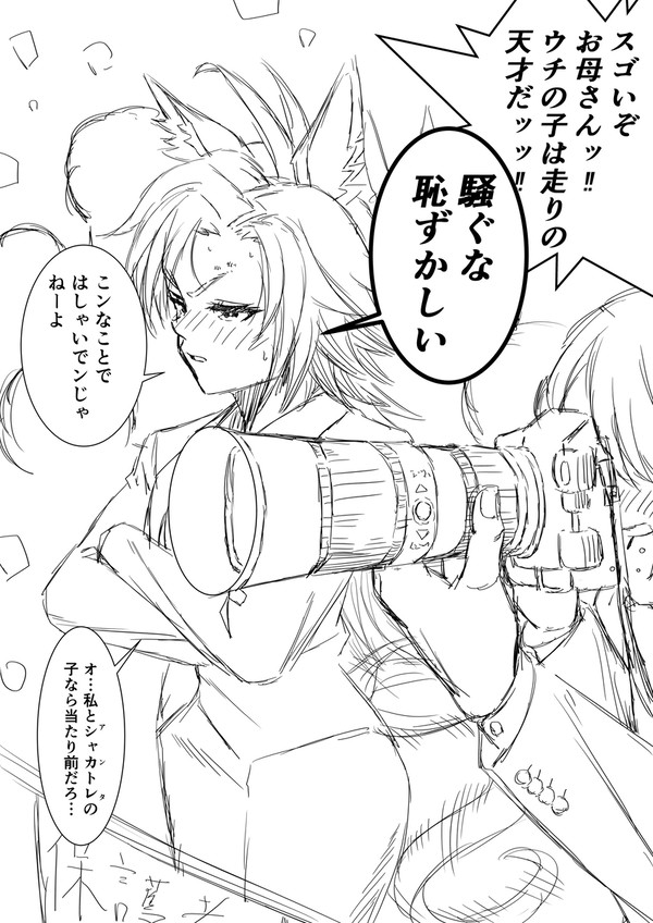 母親になったエアシャカール概念まとめ