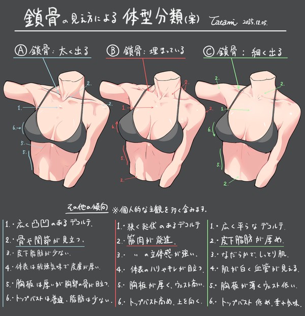 鎖骨の見え方の分類(案)