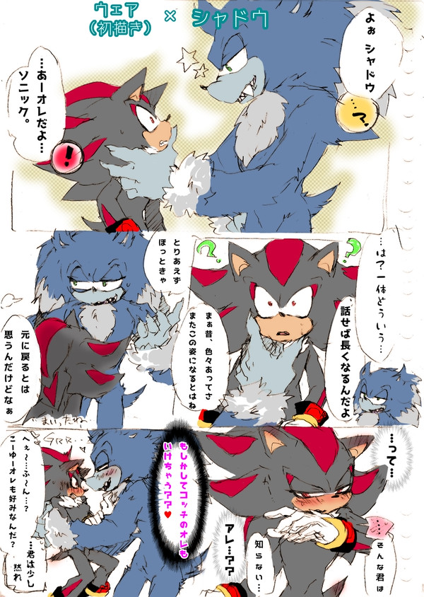 ウェア×シャドウ
