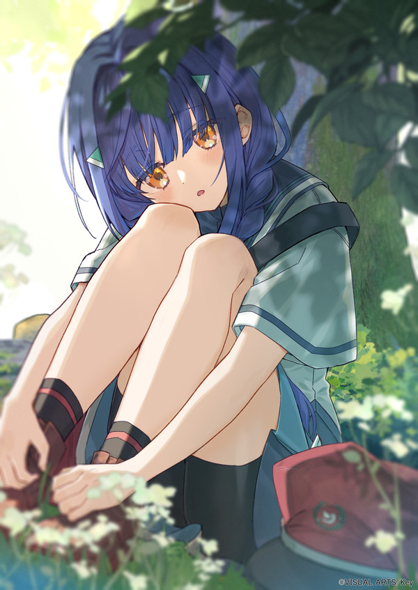 『anemoi』応援イラスト