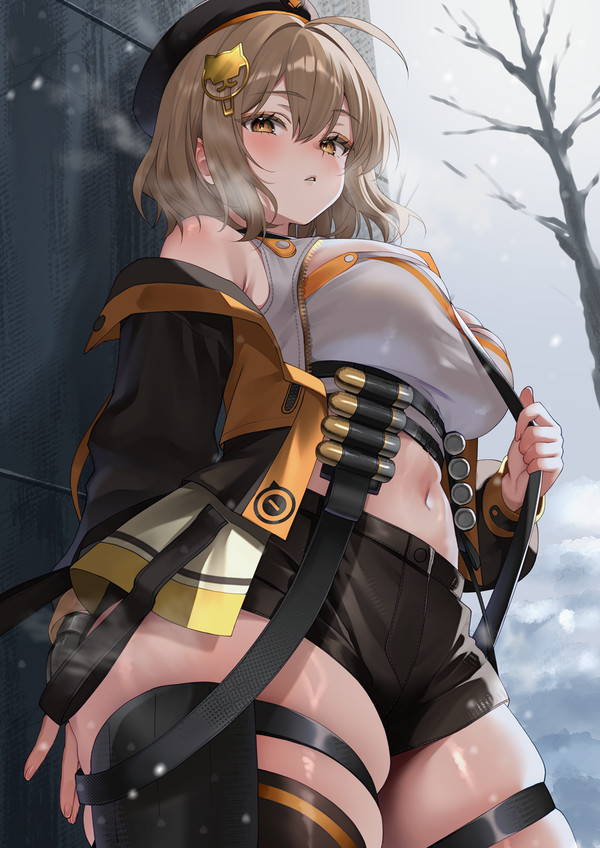 アニス