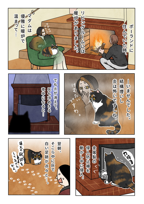 日本の冬とポーランドの冬の違い