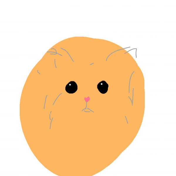 犬