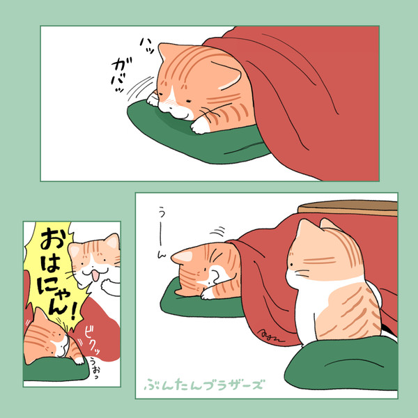 こたつ2