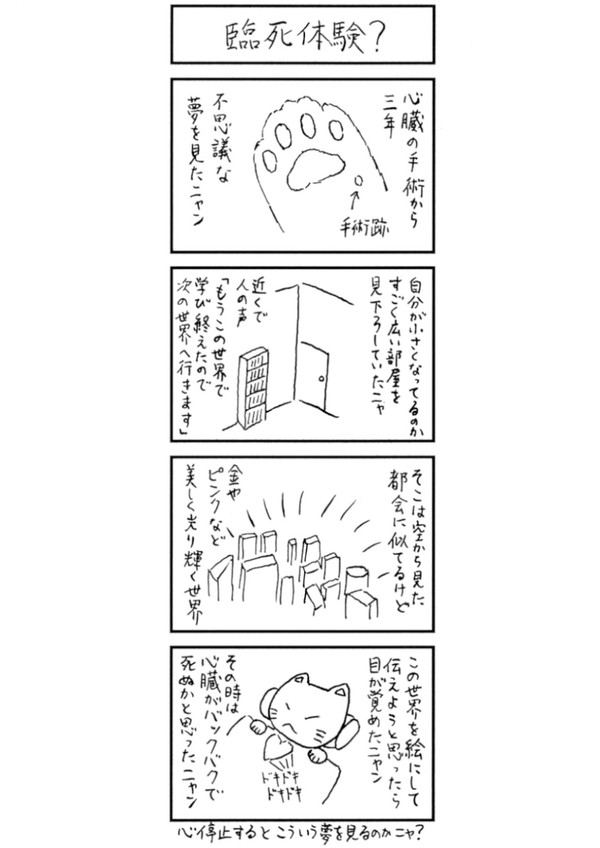 臨死体験?