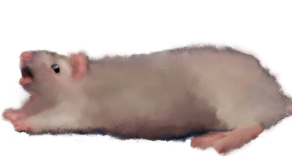 あくび