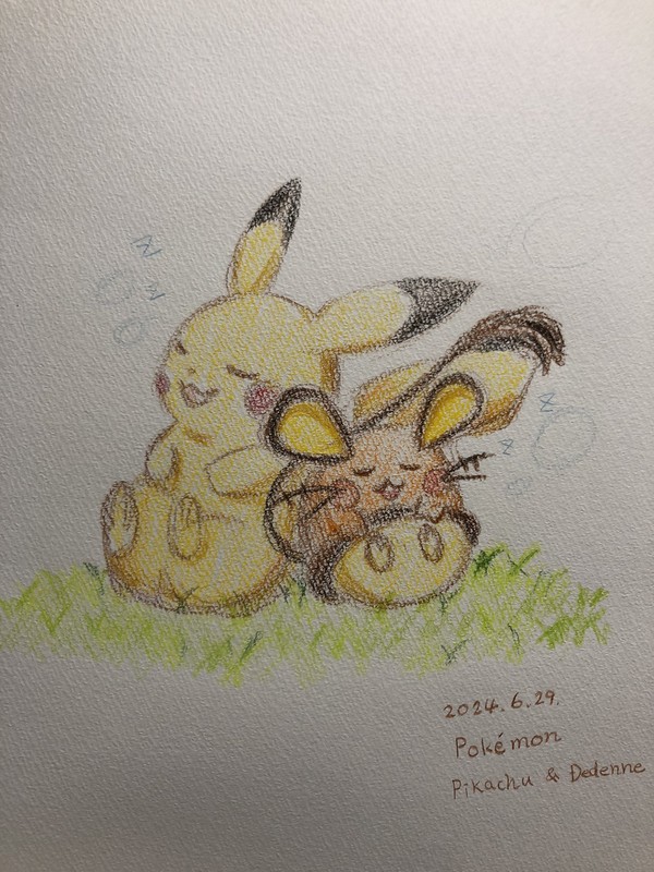 ポケモン　ピカチュウ&デデンネ