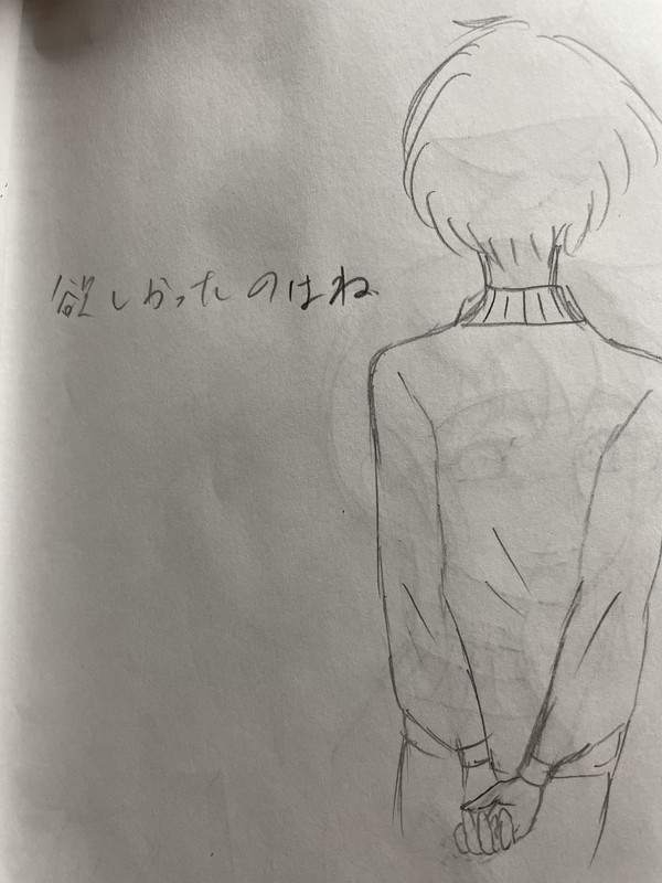欲しかったのはあなただけ