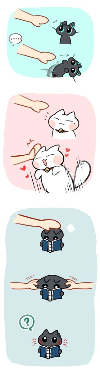 靠近貓貓們的反應