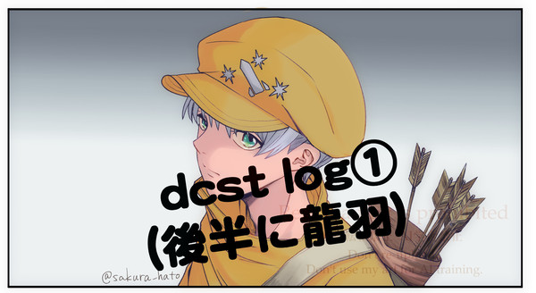 dcst log①