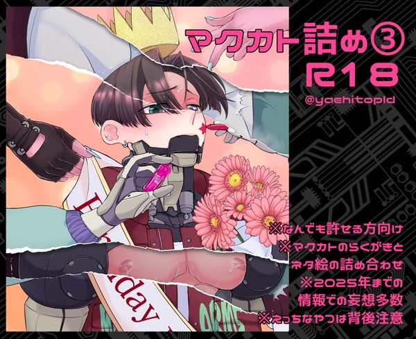 マクカト詰め③