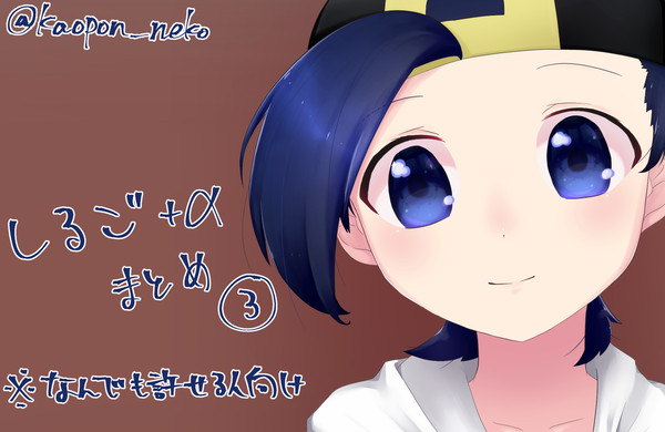 シルゴ＋αまとめ③