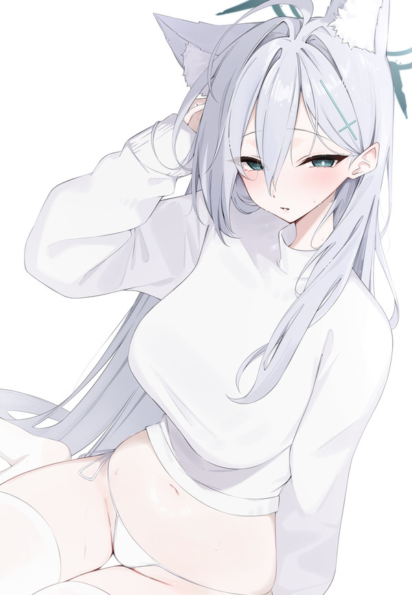 シロコテラー