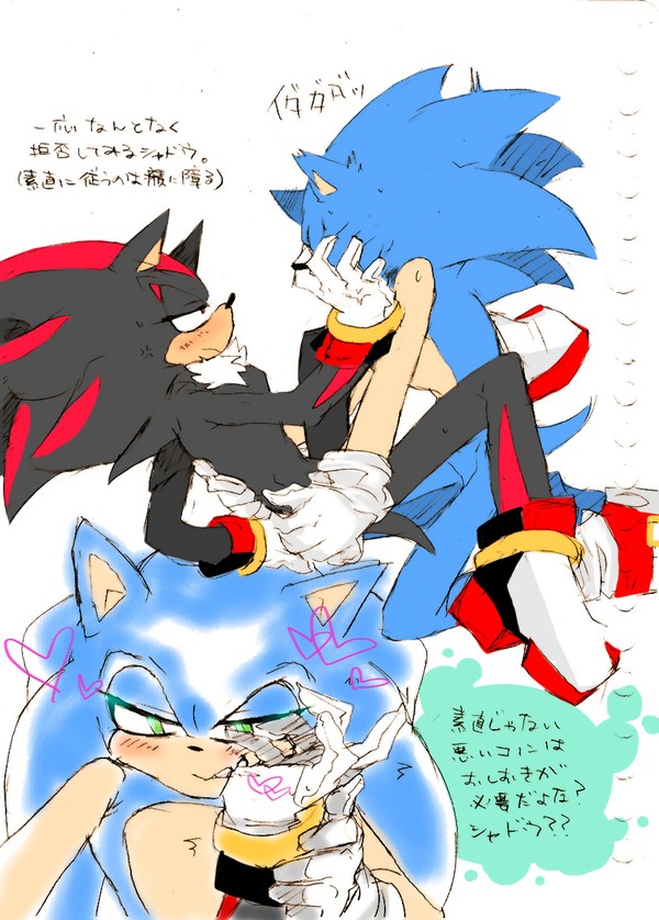 完璧に付き合ってるソナドウ。