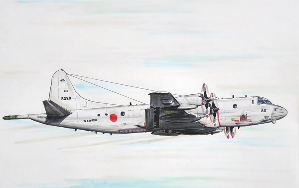 海上自衛隊 第203教育航空隊 P-3C