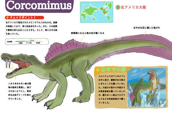 コルコミムスパック