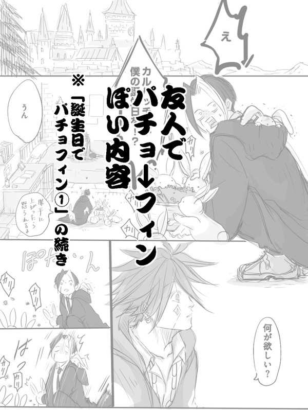 誕生日でパチョフィン② - 1/9