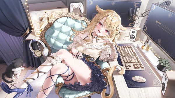 ねこちゃん