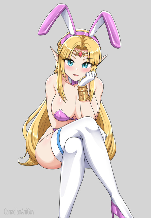 Bunny Suit Zelda