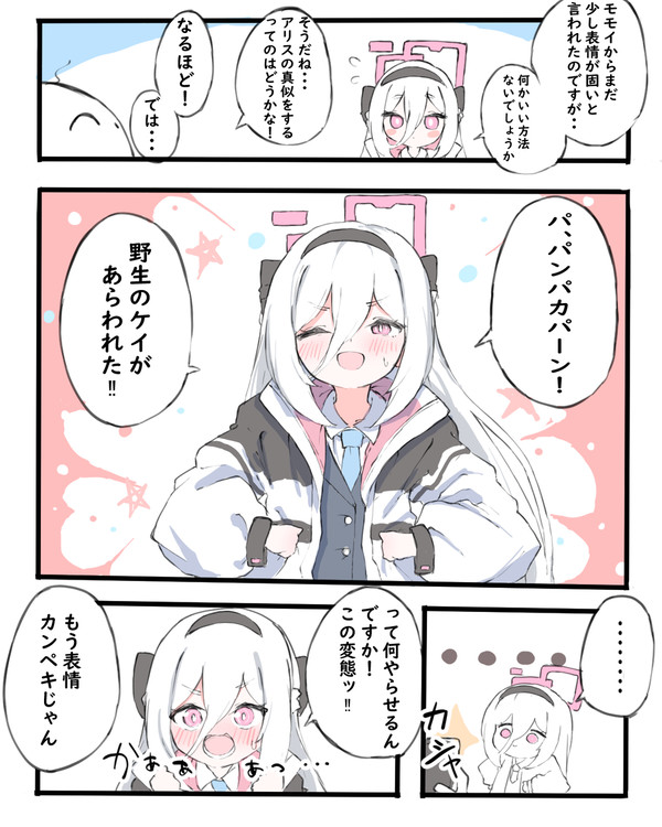 野生のケイがあらわれた!!!!