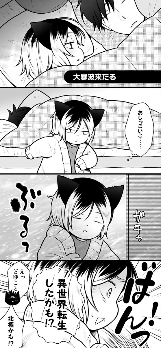 【研磨にゃん】大寒波来たる