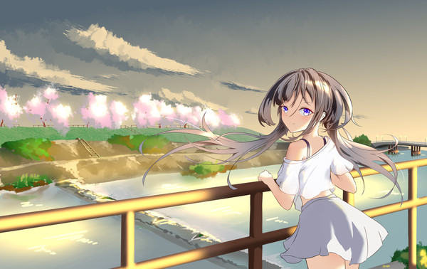 鸭川·夕阳