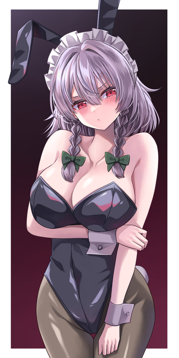 月都民のペットだった頃の咲夜さん。