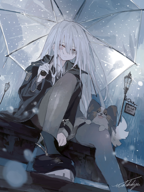 umbrella