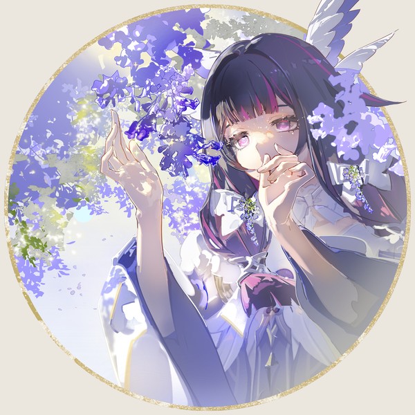蓝花楹