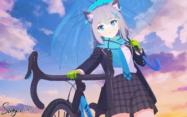 蓝调雨骑
