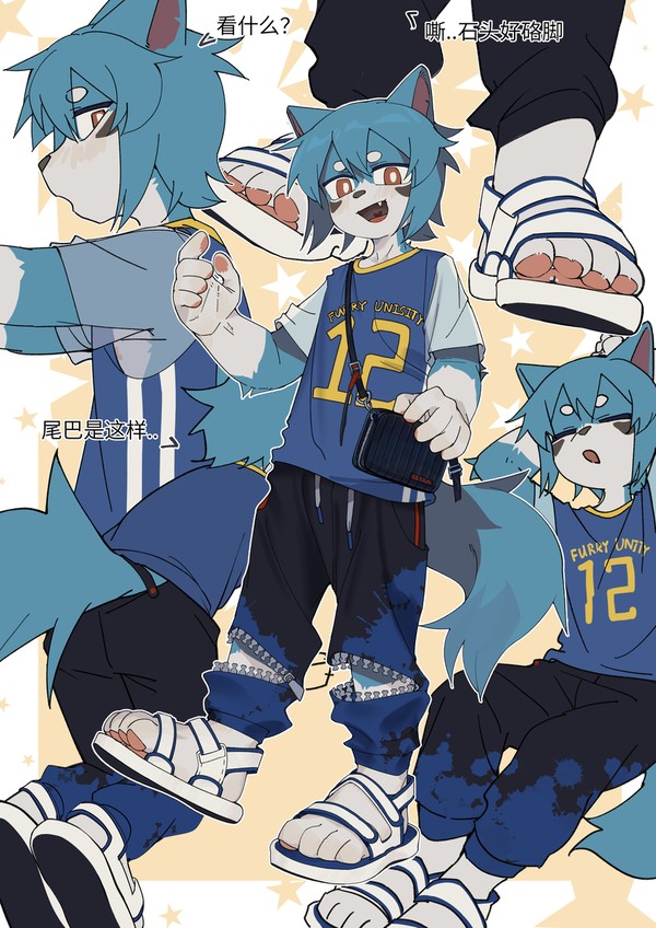 2025.2.12