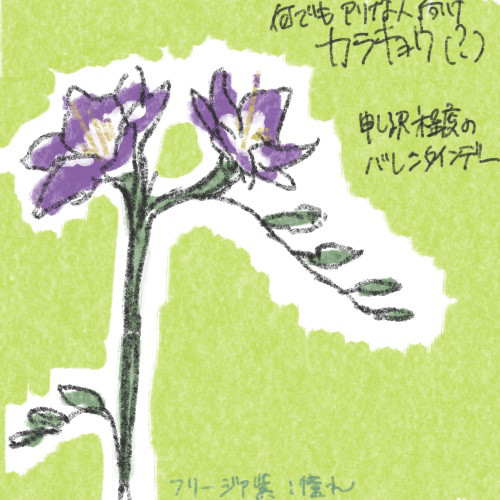カラキョウのほんのりVD