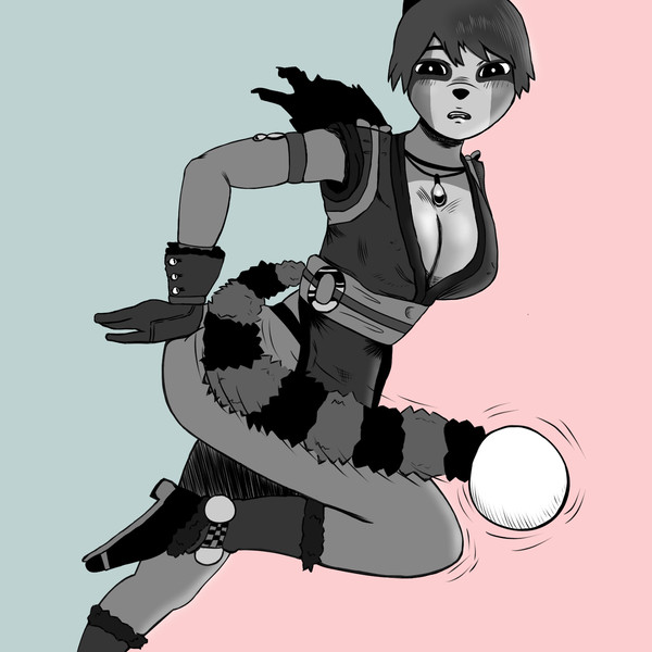 Raccoon Mai