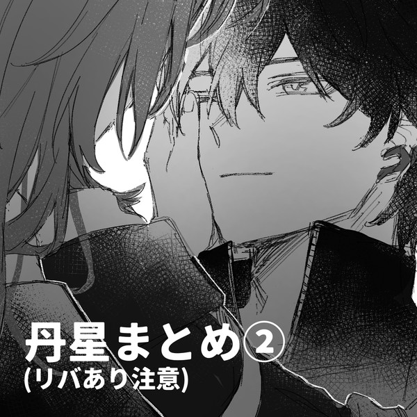 星丹星まとめ②