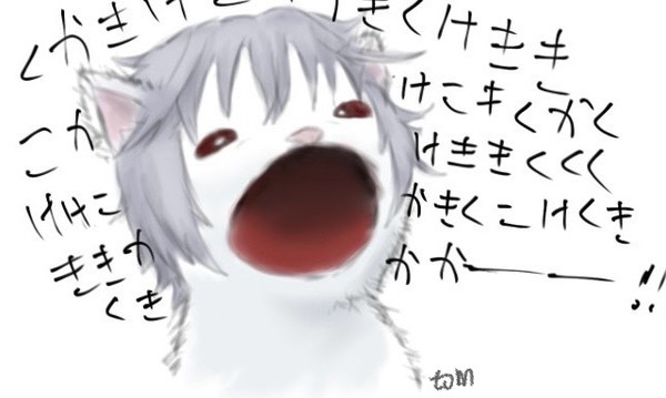 アクセラキャット