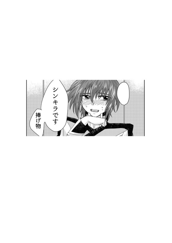シンキラ　捧げ物です