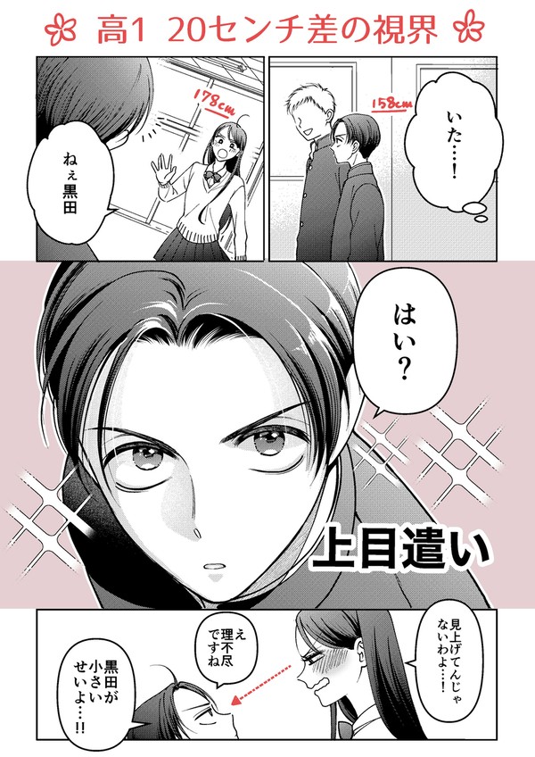 逆身長差男女 20センチ差の視界が逆転する話