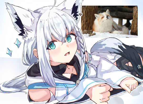 💎🦊